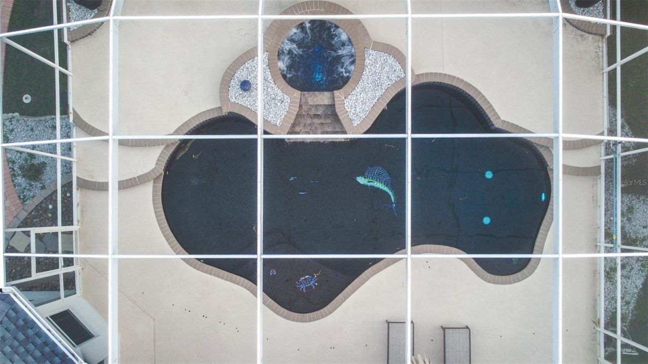 10102 Deercliff Drive, Tampa, FL 33647 Photo