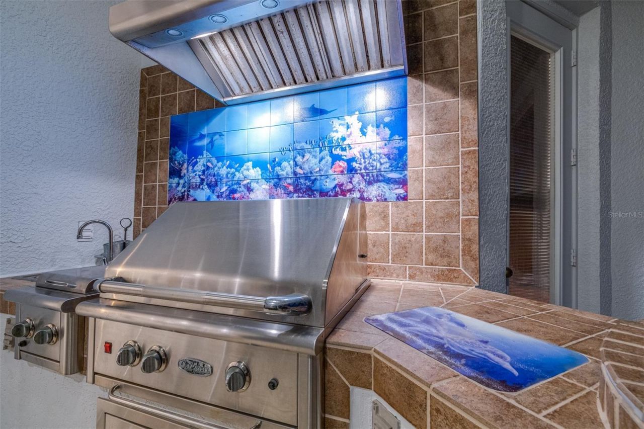 10102 Deercliff Drive, Tampa, FL 33647 Photo