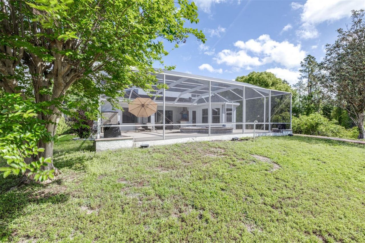 10102 Deercliff Drive, Tampa, FL 33647 Photo