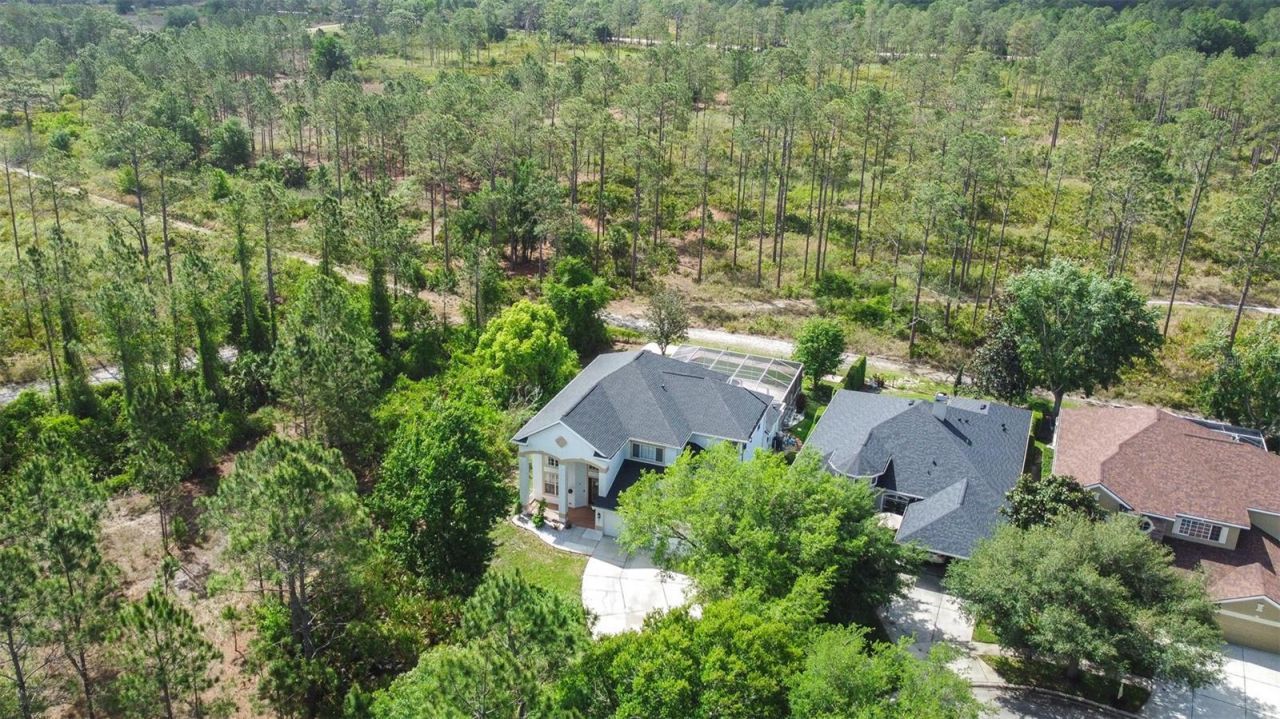 10102 Deercliff Drive, Tampa, FL 33647 Photo