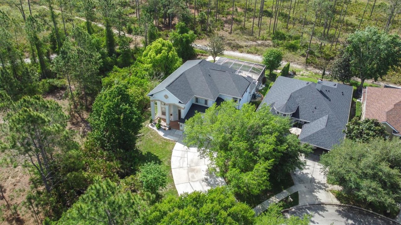 10102 Deercliff Drive, Tampa, FL 33647 Photo