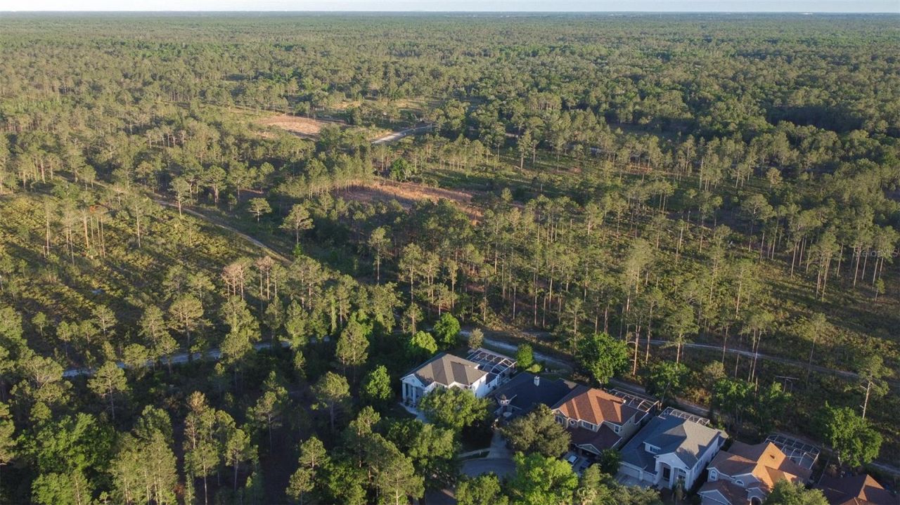 10102 Deercliff Drive, Tampa, FL 33647 Photo