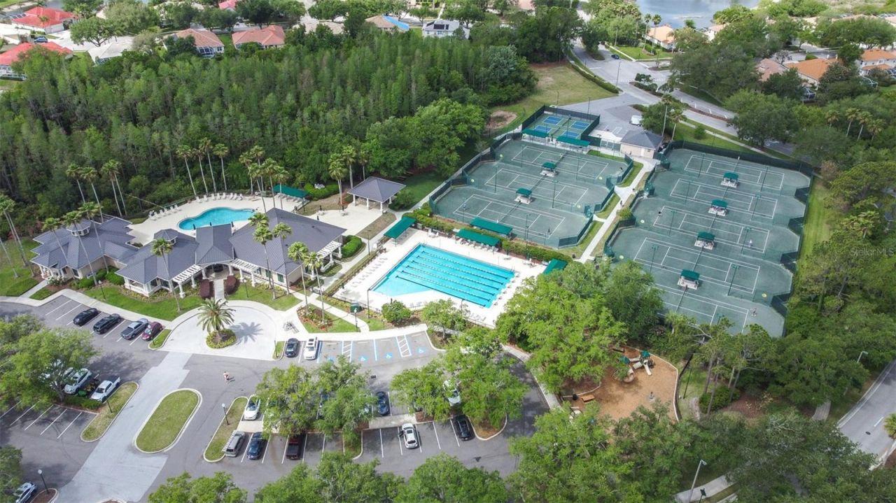 10102 Deercliff Drive, Tampa, FL 33647 Photo