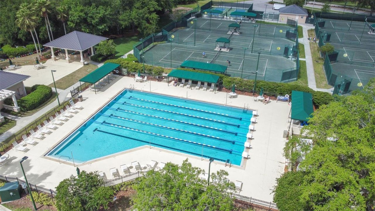 10102 Deercliff Drive, Tampa, FL 33647 Photo