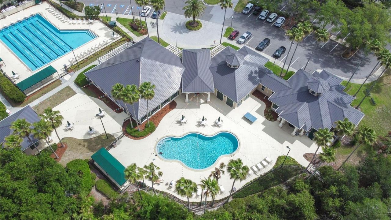 10102 Deercliff Drive, Tampa, FL 33647 Photo