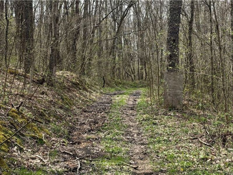 9100 Post Road, Jewett, OH 43945 Photo 19