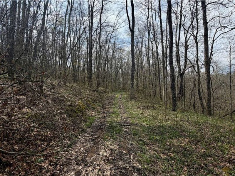 9100 Post Road, Jewett, OH 43945 Photo 25