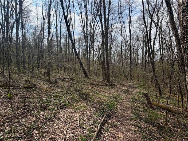 9100 Post Road, Jewett, OH 43945 Photo 26