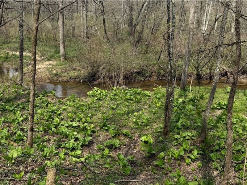 9100 Post Road, Jewett, OH 43945 Photo 27