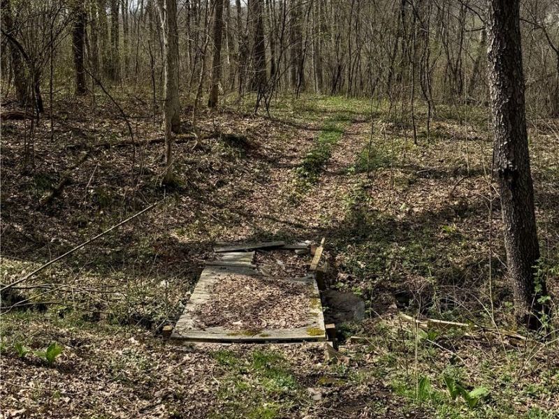 9100 Post Road, Jewett, OH 43945 Photo 28