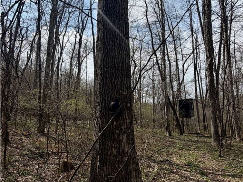 9100 Post Road, Jewett, OH 43945 Photo 29