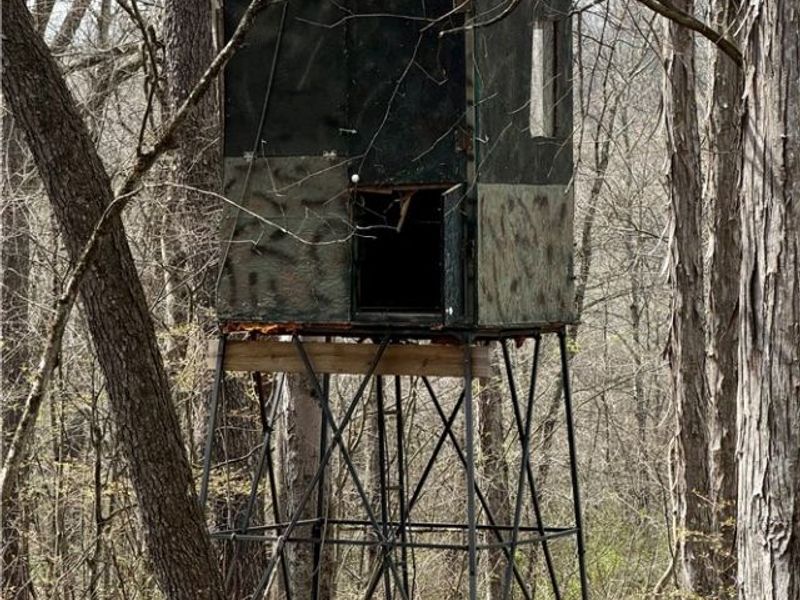 9100 Post Road, Jewett, OH 43945 Photo 30