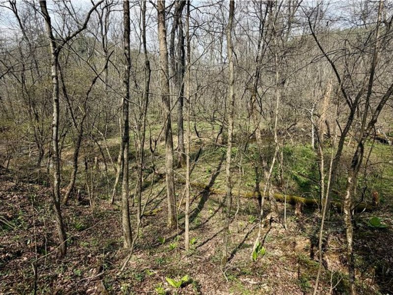 9100 Post Road, Jewett, OH 43945 Photo 31