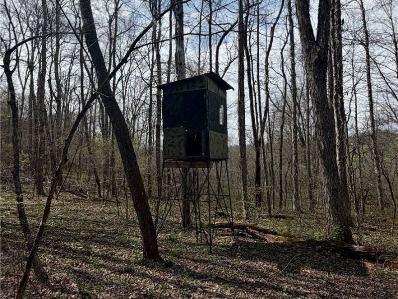 9100 Post Road, Jewett, OH 43945 Photo 32