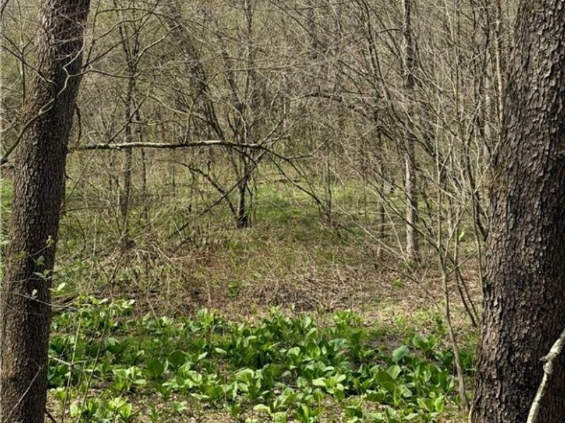 9100 Post Road, Jewett, OH 43945 Photo 33