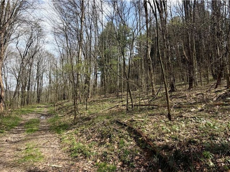 9100 Post Road, Jewett, OH 43945 Photo 34