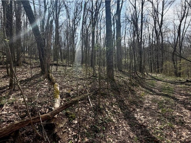 9100 Post Road, Jewett, OH 43945 Photo 35