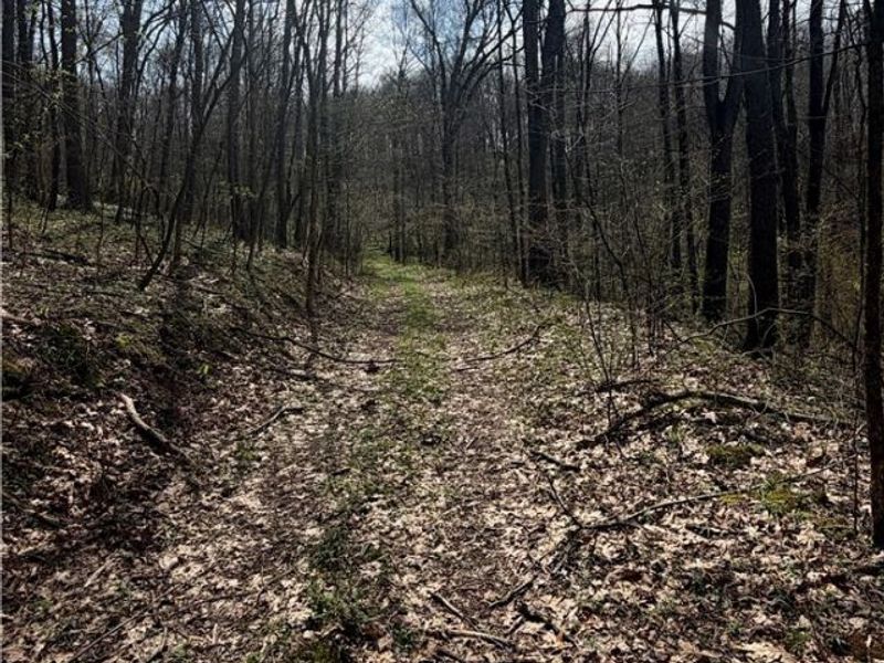 9100 Post Road, Jewett, OH 43945 Photo 36