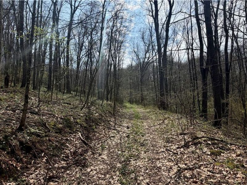 9100 Post Road, Jewett, OH 43945 Photo 37