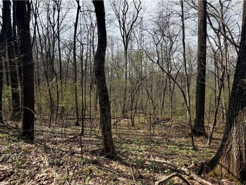 9100 Post Road, Jewett, OH 43945 Photo 38