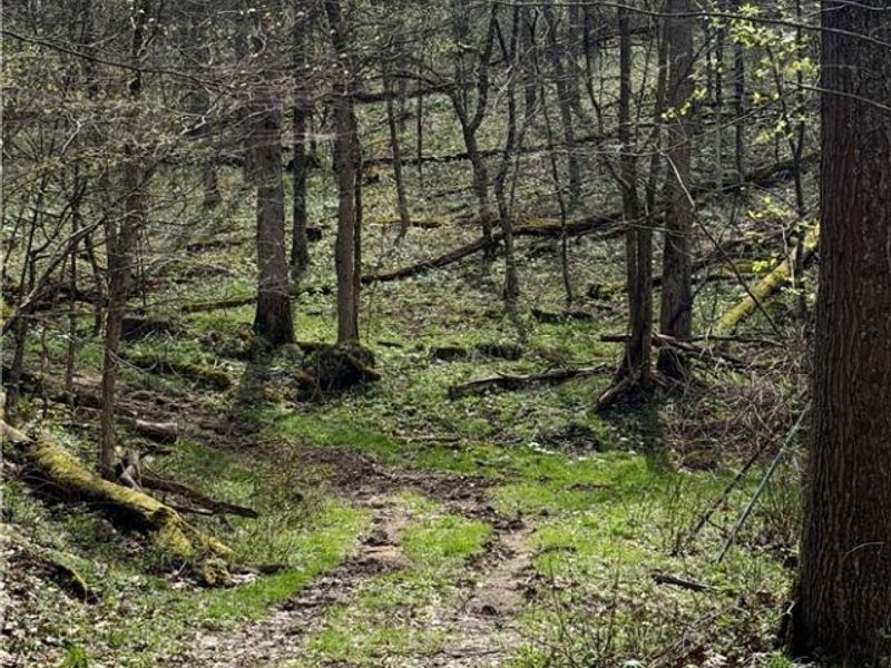 9100 Post Road, Jewett, OH 43945 Photo 39