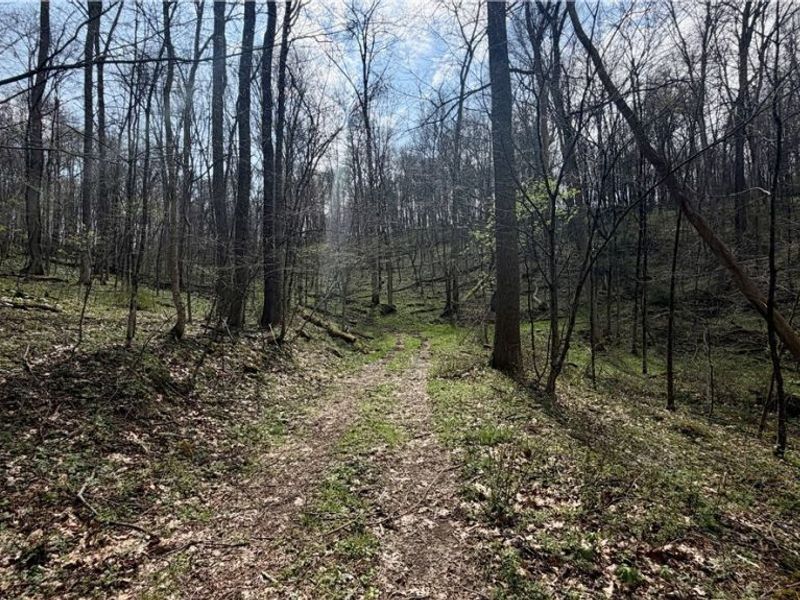 9100 Post Road, Jewett, OH 43945 Photo 40