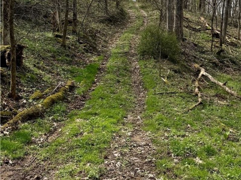 9100 Post Road, Jewett, OH 43945 Photo 41