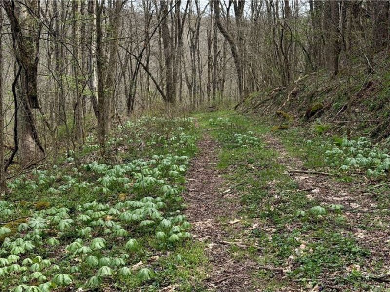 9100 Post Road, Jewett, OH 43945 Photo 42