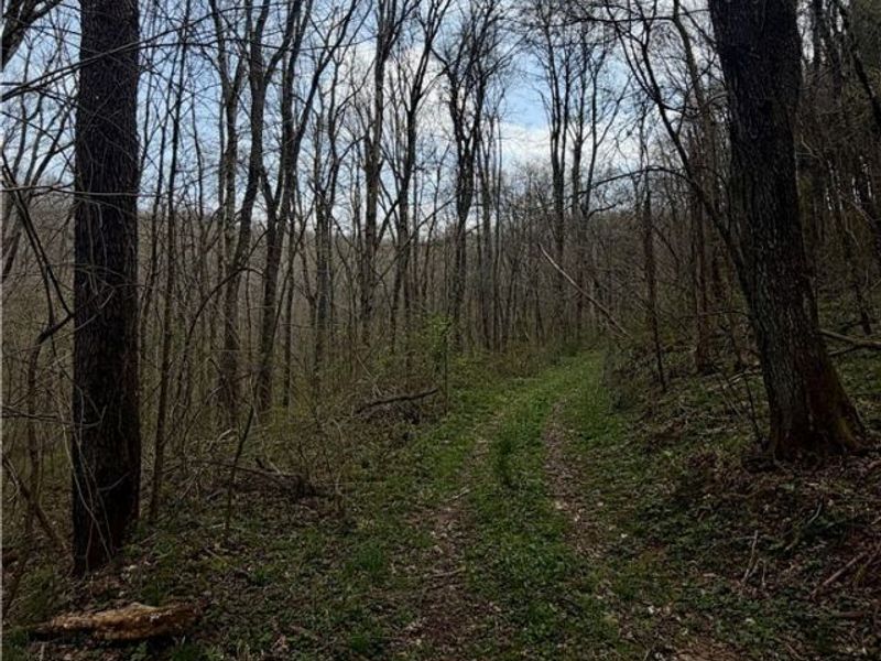 9100 Post Road, Jewett, OH 43945 Photo 43