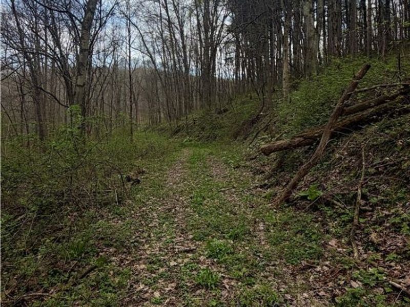 9100 Post Road, Jewett, OH 43945 Photo 44