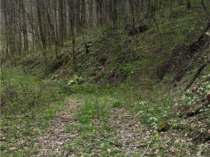 9100 Post Road, Jewett, OH 43945 Photo 45