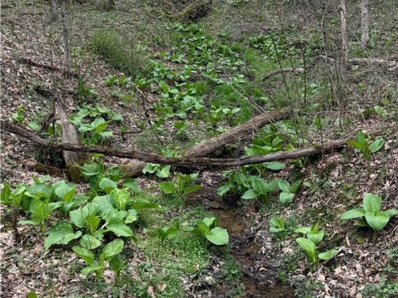 9100 Post Road, Jewett, OH 43945 Photo 46