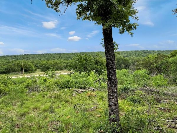 TBD Hoahway Drive, Mingus, TX 76463