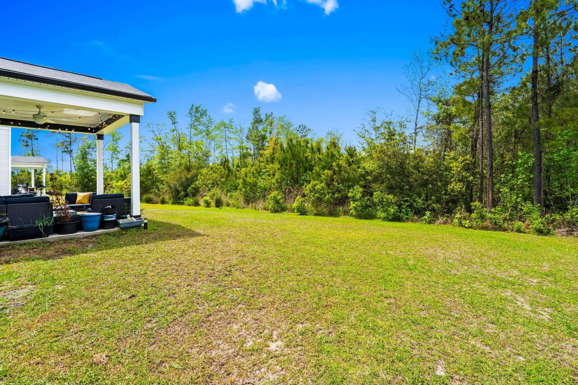 555 Appaloosa Way Photo 29