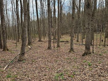 Level Green Road, Berkshire, NY 13736