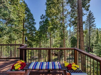 1206 Greensboro Way, Arnold, CA 95223 Photo