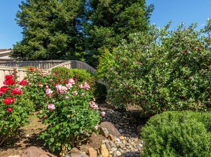 1260 Freschi Ln, Lincoln, CA 95648 Photo