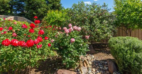 1260 Freschi Ln, Lincoln, CA 95648 Photo