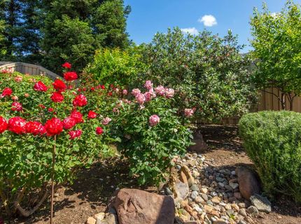 1260 Freschi Ln, Lincoln, CA 95648 Photo