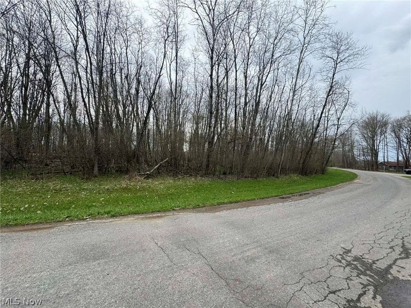 1753 Morning Star Drive, Roaming Shores, OH 44084 Photo 2