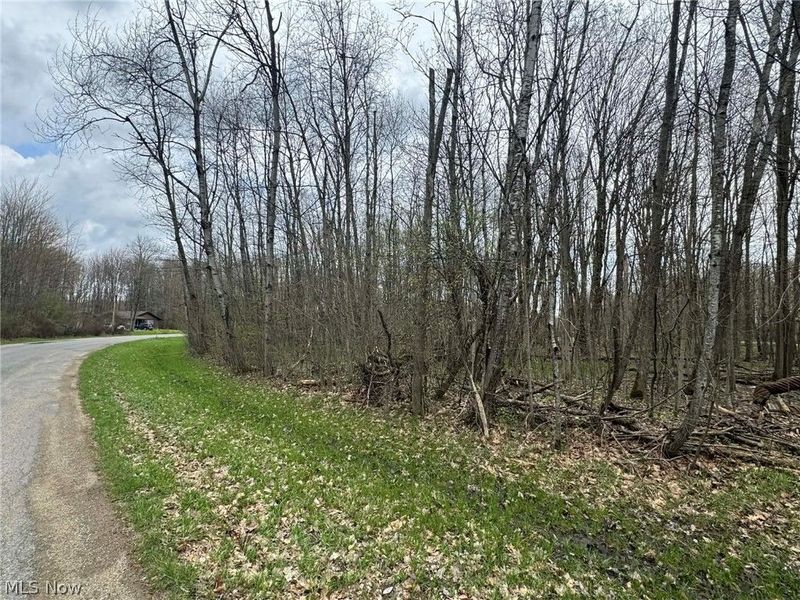 1753 Morning Star Drive, Roaming Shores, OH 44084 Photo 3