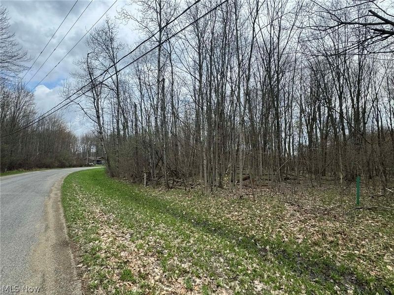 1753 Morning Star Drive, Roaming Shores, OH 44084 Photo 4