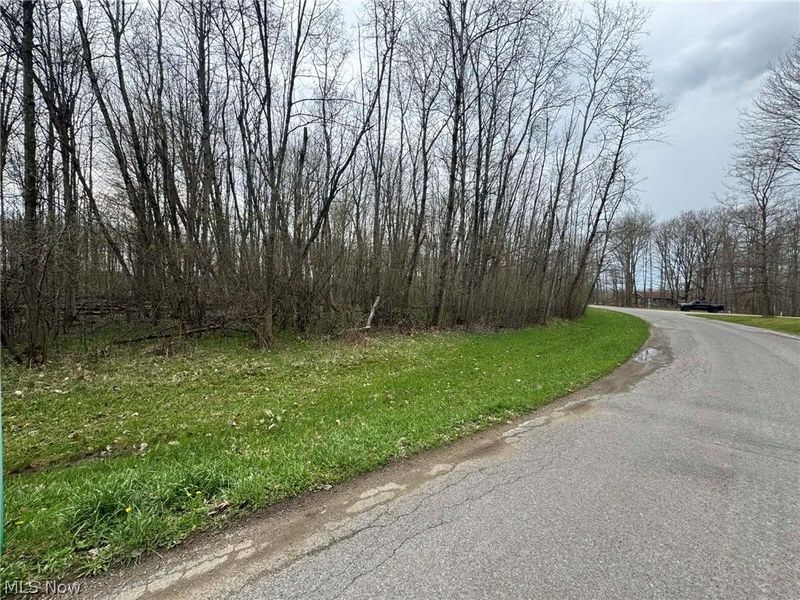 1753 Morning Star Drive, Roaming Shores, OH 44084 Photo 5