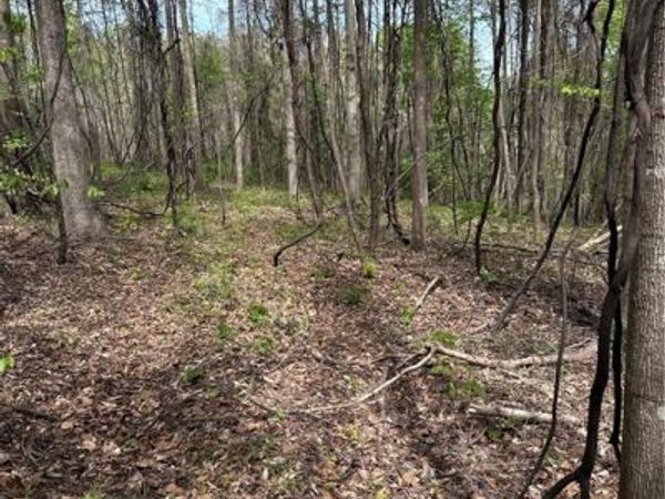 0 Will Boone Road , Mocksville, NC 27028