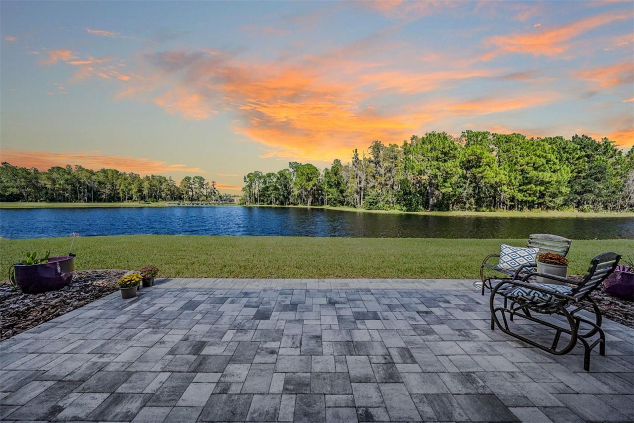 1455 Winding Willow Drive , Trinity, FL 34655 Photo