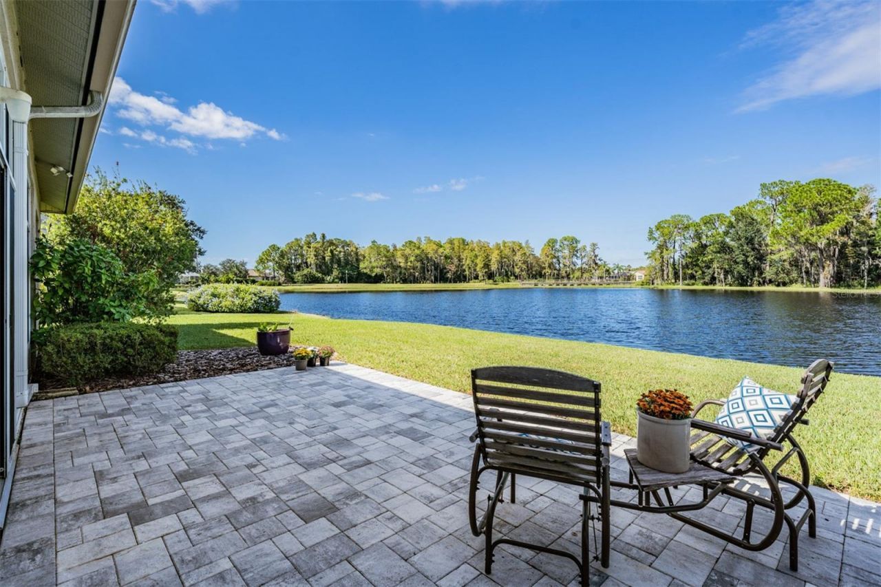 1455 Winding Willow Drive , Trinity, FL 34655 Photo