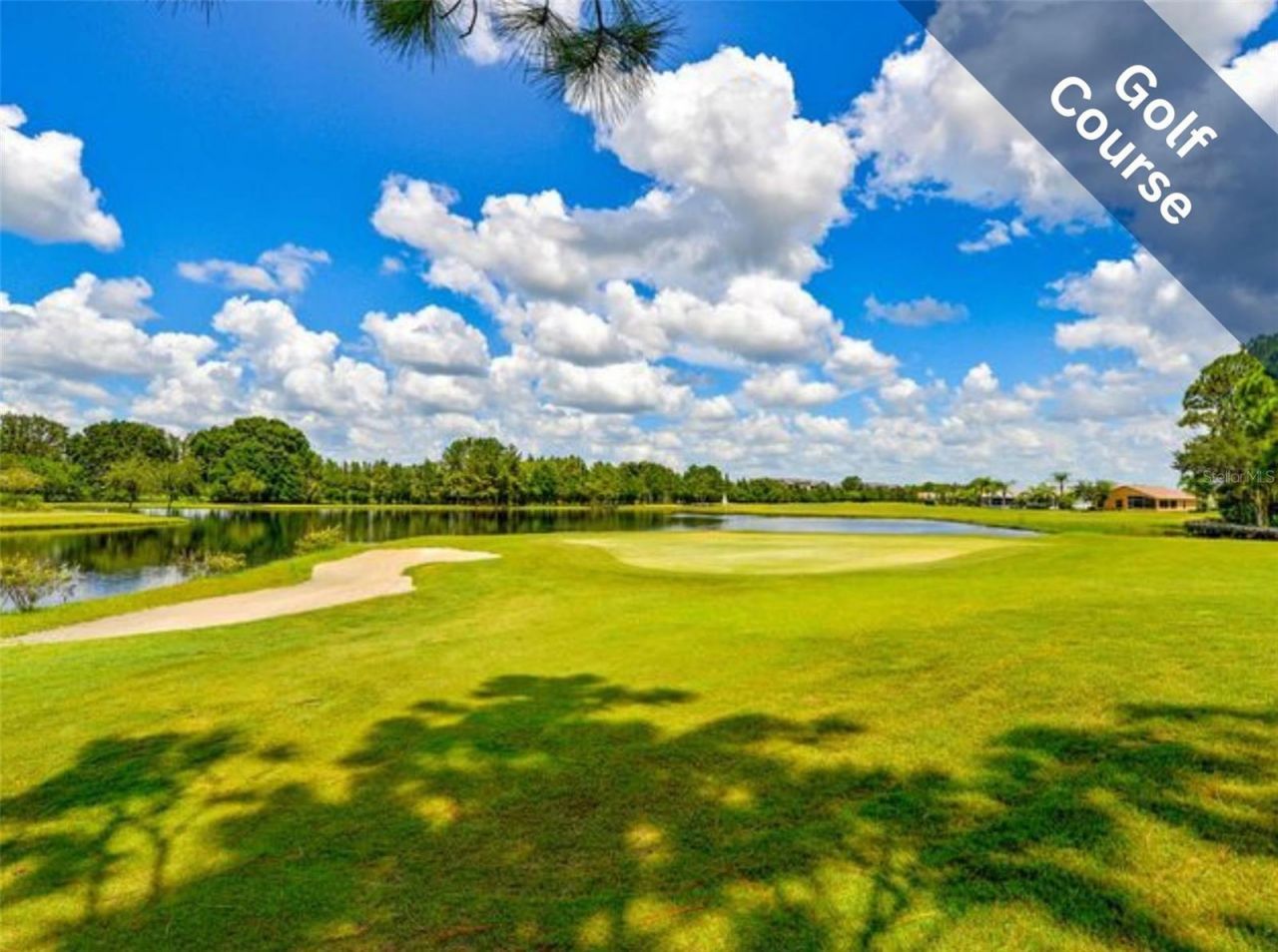 1455 Winding Willow Drive , Trinity, FL 34655 Photo