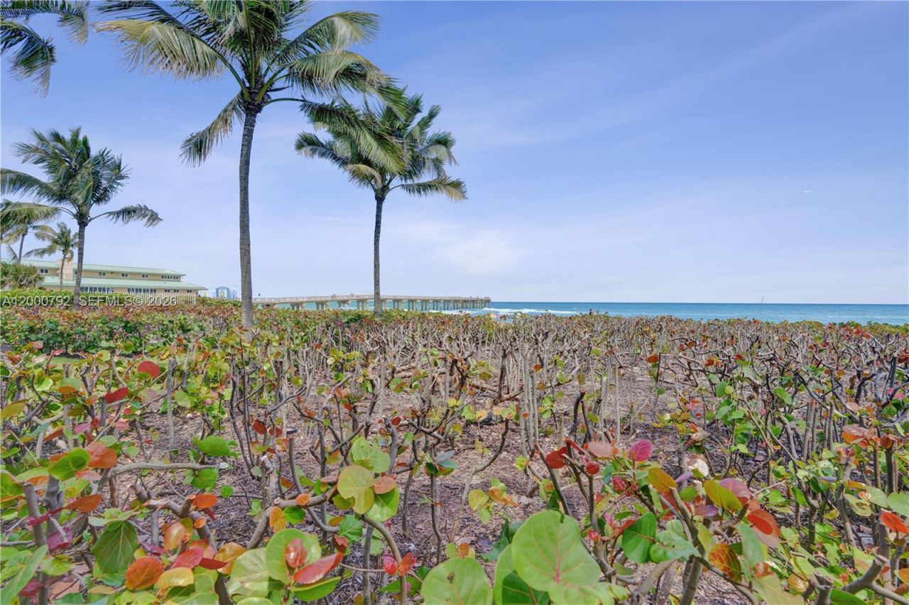 16485 Collins Ave , Unit 832, Sunny Isles Beach, FL 33160 Photo