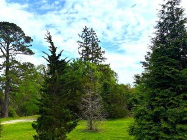 456 Susan Road, St Louis, MO 63129