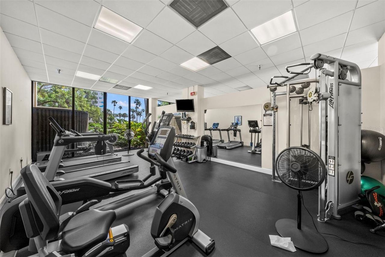 2413 Bayshore Boulevard, Unit 803, Tampa, FL 33629 Photo